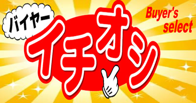 サンコーのクリスマスケーキ